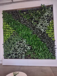 Emerald Isle Portfolio Photo of Commercial Plant Services