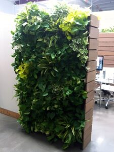 Indoor Plant Wall Installation by Emerald Isle Tropical Plants, Inc.