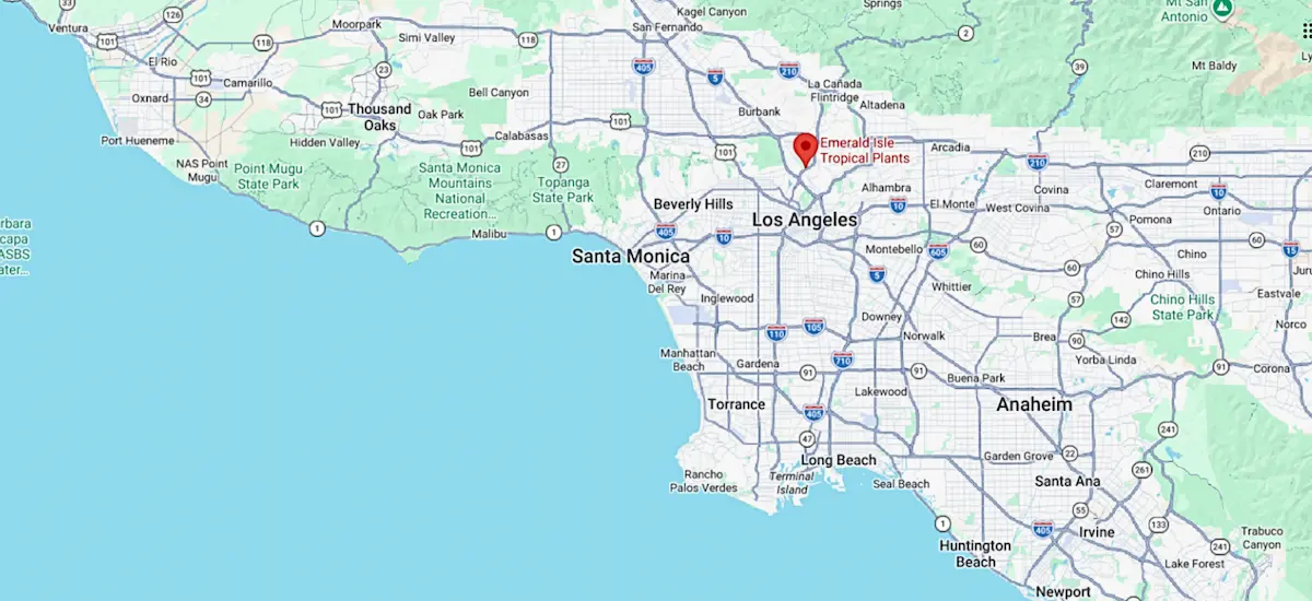 Emerald Isle Tropical Plants Service Areas