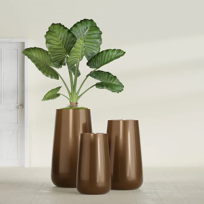 NewPro Containers Available With Emerald Isle Tropical Plants