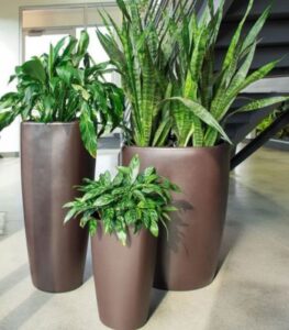 Hancock - Independence Collection