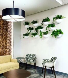 Walton - Independence Collection